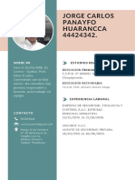 Jorge Carlos Panayfo Huarancca Curriculum Vitae