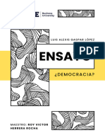 ENSAYO Democracia