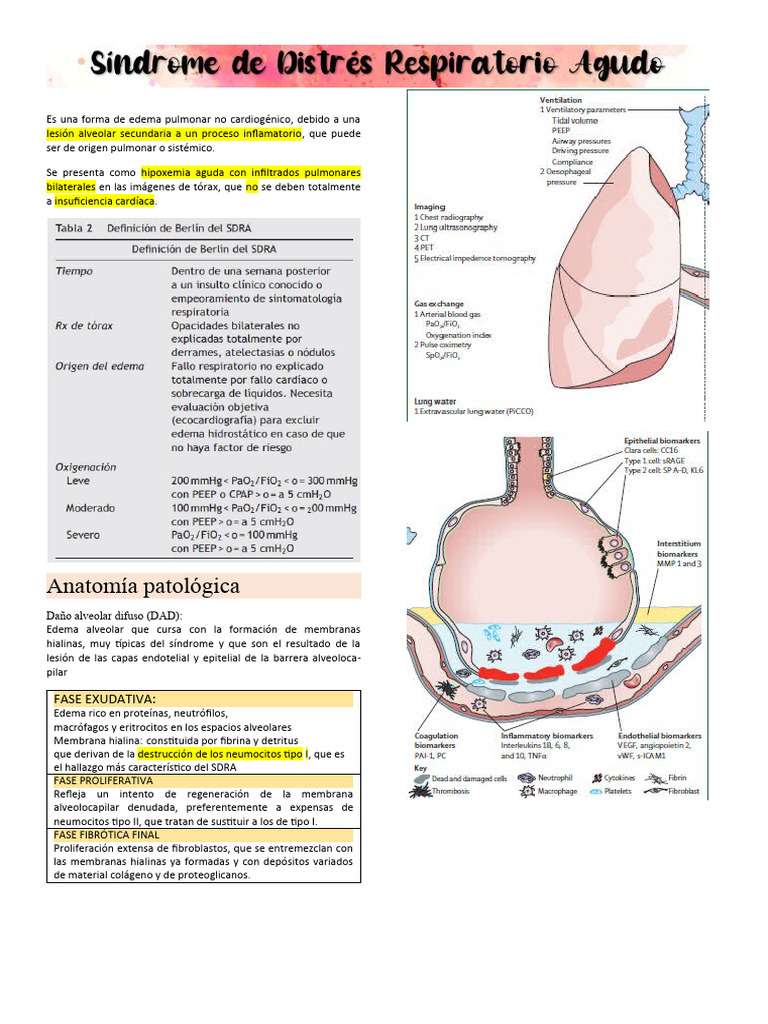 Sdra Resumen | PDF | Arte | Tecnología e ingeniería