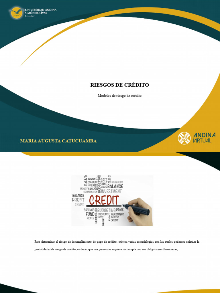 Modelos De Riesgo De Crédito Pdf Riesgo Crediticio Bancos
