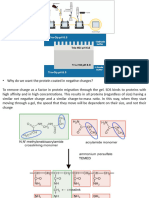 Electrophoresis