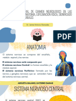 Descripcion General de Examen Neurologoco en Las Distintas Edades, Anatomia, Exploracion Fisica, Significa Clinico y Pares Craneales