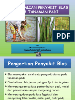 Pengendalian Penyakit Blas