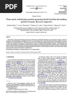 Download Three Newly Isolated Plant Growth-promoting Bacilli Facilitate the Seedling Growth of Canola Brassica Campestris by Leandro Pio De Sousa SN70211021 doc pdf