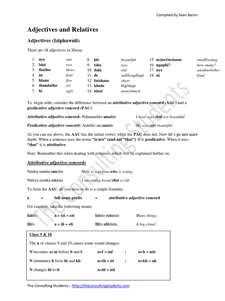 Adjectives and Relatives | PDF | Adjective | Languages