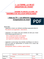 Cours Ch1 L Organisme Pluricellulaire