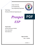 Prosper - ESP