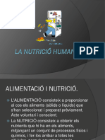 LA NUTRICIÓ HUMANA (Tema 2)