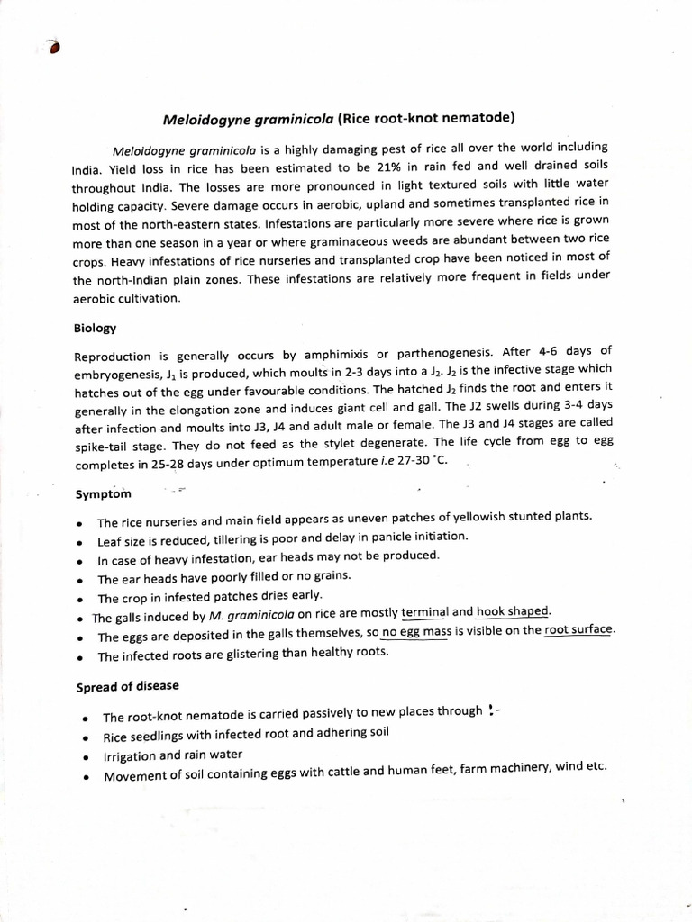 Lect 9 Nematology Rice Root Knot And Stem PDF