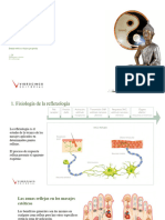 Tema 14 - Fundamentos y Técnicas de La Reflexología