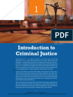 Chapter 1 Introduction To Criminal Justice
