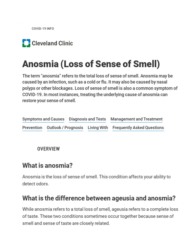 How To Recover Lost Sense Of Smell