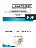 Folleto Zeolitik 2021