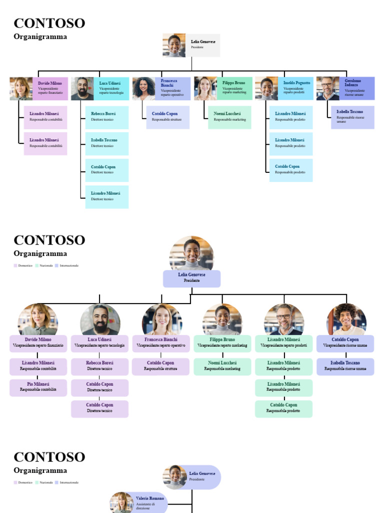 CONTOSO | PDF