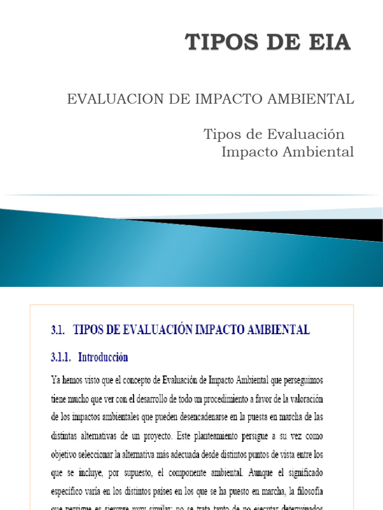 Tipos de EIA | PDF