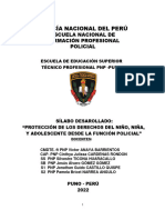 Silabus Derechos Del Niño, Niña y Adolescente 2022. Ok