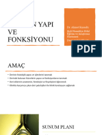 Derinin Yapı Ve Fonks (1411)