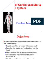 Cardio Anatomy