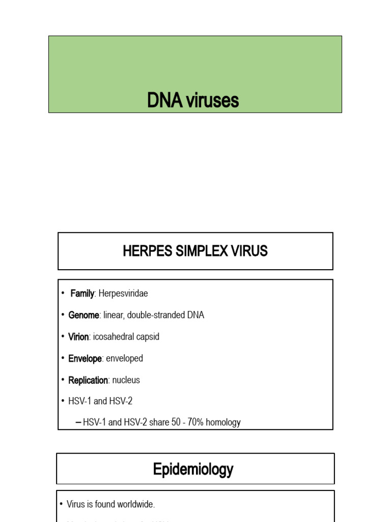 Herpes and Zoster Virus Overview | PDF | Self-Improvement | Science ...
