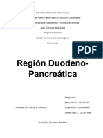 Region Duodeno-Pancreatica