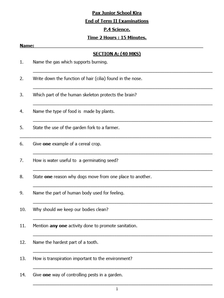 P.4 Science Exam Paper - Term II | PDF | Flowers | Plants