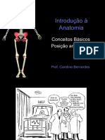 Aula 1 - Introducao - Anatomia