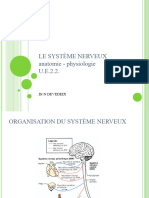 2-2-s1-systeme-nerveux