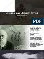 Evolucija Pod Uticajem Coveka Prezentacija