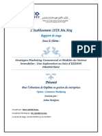 Rapprot de Stage PDF