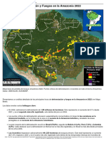Amazonia-2022 3