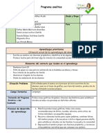 Formato Programa Analitico - 2da Opcion