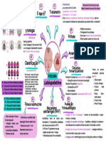 Mapa Mental Fissura Labiopalatina