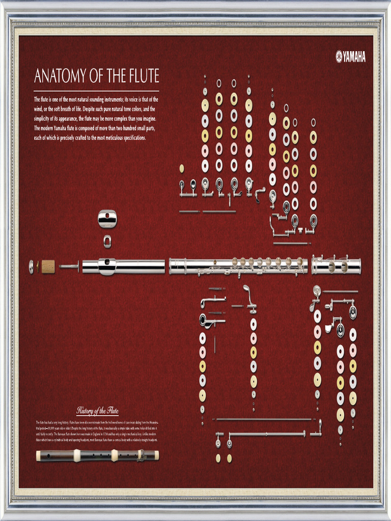 381 Poster Flutes Eclate en | PDF