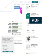 PDF Ficha Tecnica Bugambilla - Compress