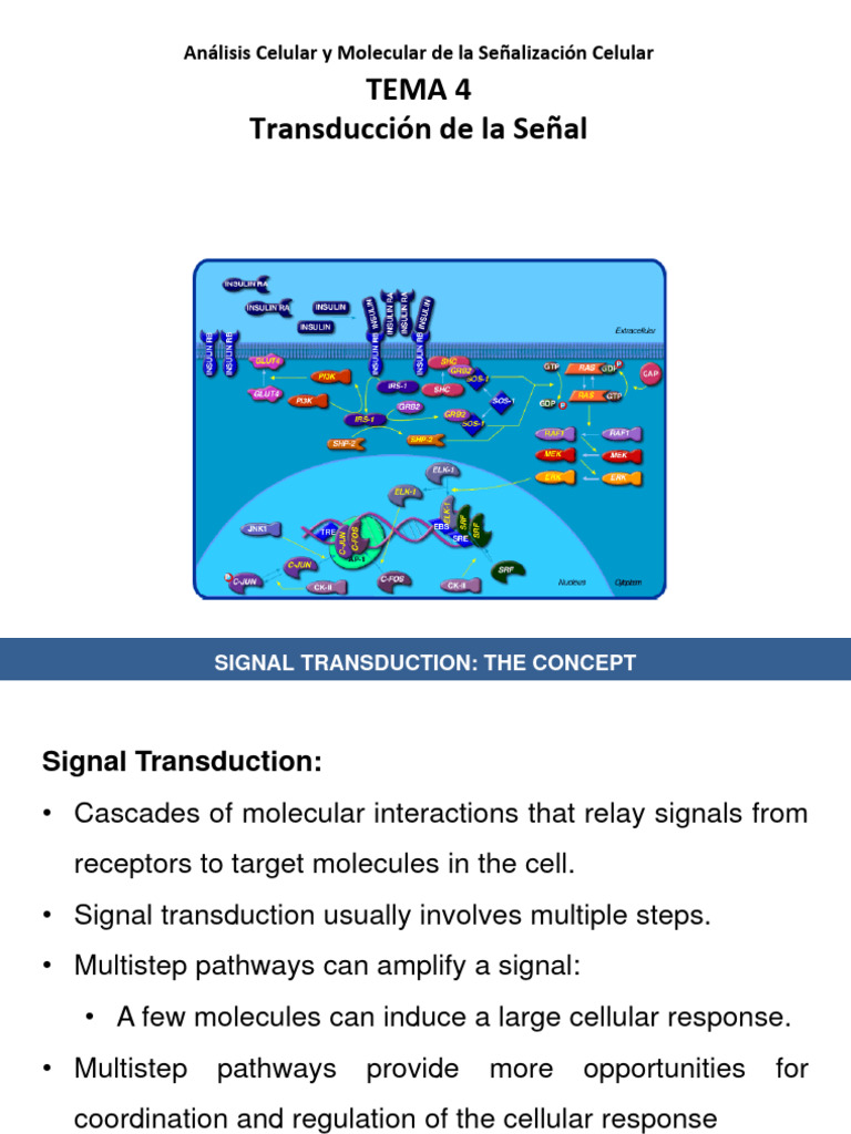 ACyMSC 04Signal Transduction PDF Cell Signaling Signal