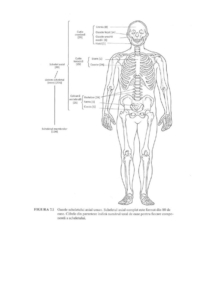 141 153 pdf