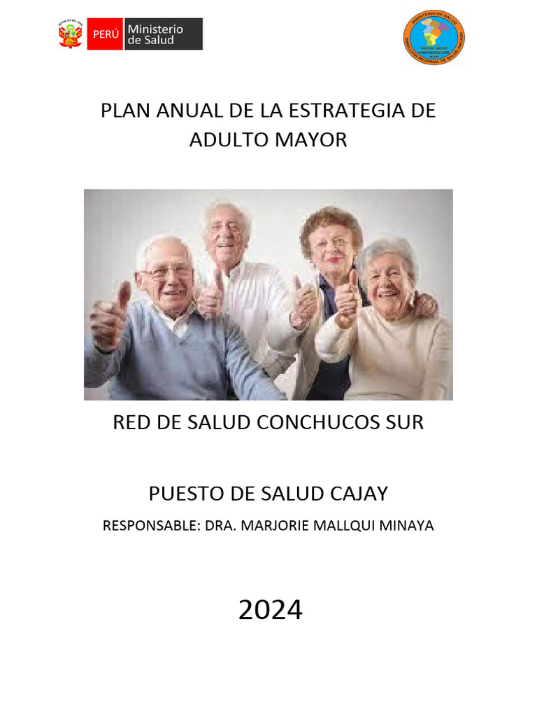 Plan Anual Estrategia Adulto Mayor 2024 | PDF | Adultos | Vejez
