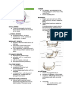 Posi Finals - Facial Bones Continuation