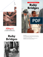 Raz Li34 Rubybridges CLR