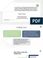 Diapositivas Recuperación de Saberes 11