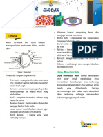 Cf8a7 Alat Optik