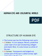 Human Eye and Colourful World2