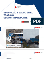 Seguridad y Salud en El Trabajo Sector Transporte