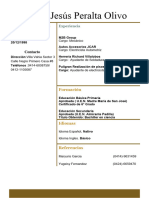 Curriculum Vitae Basico para Llenar en Word