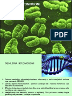 01 Geni I Kromosomi