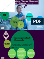 Presentacion TGD, Tea, Cea