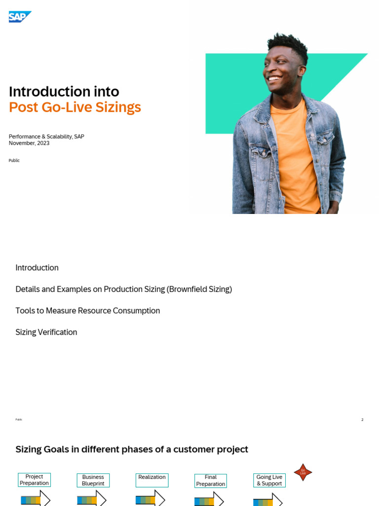 Introduction into post go live sizings pdf central processing unit