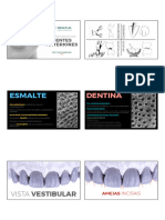 PDF - Aula 02 - Aspectos Comuns Aos Dentes Anteriores
