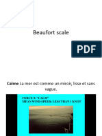 Beaufort Scale