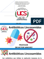 Antibioticos Lincosamidos